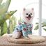 Cat And Small Dog Summer Shirts image
