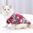 Cat And Small Dog Summer Shirts image