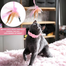 Cat Feather Collar with Teasing Toy, Adjustable Cat Collar Stylish Design Cat Interactive Toys image