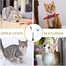Cat Stick Activate Interesting Funny for Toys Plaything Cup Suction Cat Accessory Sucker Cats Exercise Teaser Stick image