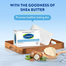Cetaphil Cleansing and Moisturising Syndet Bar 75gm image