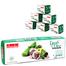 Chandan Fresh Mint 72gm image