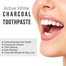 Charcoal Whitening Toothpaste 100 ml Plus Toothbrush image