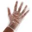 Clear Gloves 100 Pcs Large Polyethylene Gloves image