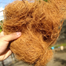 Coconut Fiber Block 5kg image
