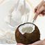 Coconut Scraper With Wooden Handle image