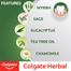 Colgate Herbal Toothpaste (200 gm) image