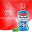 Colgate Plax Fresh Mint Mouthwash 500 ml image