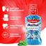 Colgate Plax Peppermint Mouthwash 500 ml image