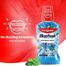 Colgate Plax Peppermint Mouthwash 500 ml image