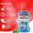 Colgate Plax Peppermint Mouthwash 500 ml image