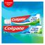 Colgate Triple Action Toothpaste 100 ml image