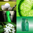 Colour Me Green Body Spray 150ml image