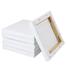 Combo 5pcs Canvas for Painting image