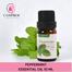 Cosprof Peppermint Essential Oil 