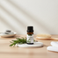 Cosprof Rosemary Essential Oil 10 ml For Hair Care image