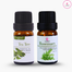 Cosprof Rosemary Tea Tree Essential Oil Combo image