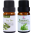 Cosprof Rosemary Tea Tree Essential Oil Combo image