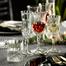 RCR Crystal Opera Red Goblet Glass - 256050 image