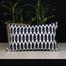 Agrey Hometex Cushion Cover Black And White 20x12 Inch image