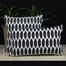 Agrey Hometex Cushion Cover Black And White 20x12 Inch image