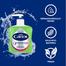 Cussons Carex Aloe Vera Hand Wash Pump 250 ml image