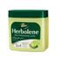 DABUR Herbolene Aloe Petroleum Jelly 115ml image