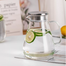 DELI Premium Glass Jug Sentuhan Alami untuk Meja Makan Anda 1 Pc-1.7L image