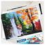DOMS Poster Colour 14color box Paint for artists image