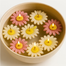 Daisy Flower Floating Candle – Handmade Soy Wax, Romantic Floral Decor | 4 Pcs image