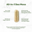 Deal Supplement Sea Moss Capsules 240Pcs image