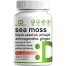 Deal Supplement Sea Moss Capsules 240Pcs image