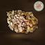 Deshi Chanda Shutki Fish / Dry Fish Premium Quality image