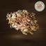 Deshi Macher Mishali Shutki Fish / Dry Fish Premium Quality image
