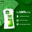Dettol Antibacterial Bodywash Original 250ml Loofah Free image
