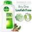 Dettol Antibacterial Bodywash Original 250ml Loofah Free image
