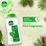 Dettol Antibacterial Bodywash Original 250ml Chorki Subscription Free image