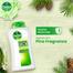 Dettol Antibacterial Bodywash Original 250ml image