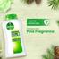 Dettol Antibacterial Bodywash Original 250ml Loofah Free image