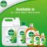 Dettol Antiseptic Liquid 100ml image