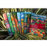 Dhaka, Chattogram Notebook(Heritage and Ocean), Sylhet, Barisal, Khulna, Rajshahi, Mymensingh, and Rangpur Notebook - 9 Pack image