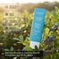Dot Key Blueberry Hydrate Barrier Repair Sunscreen Spf 50 Pa 80gm image