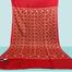Double size Original Kashmiri Poshmina Shawl For Women image