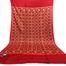 Double size Original Kashmiri Poshmina Shawl For Women image