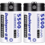 Doublepow 1.2V 5500mAh Rechargeable Battery (2 Pcs) image