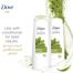 Dove Detox Ritual With Matcha and Rice Milk Shampoo 400 ml image