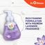 Dr. Rhazes Gentle Foaming Hand Wash Bottle – Lavender image