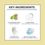 Dr. Sheth's Ashwagandha and Alpha Arbutin Sunscreen 50 gm -424011244 image