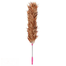 Duster Chicken Feather Duster- Car Chicken Feather Duster image