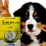 E-Vet Plus® Pet For Any Pet And Bird - 20ml image